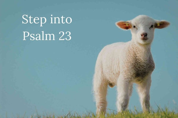Psalm 23 practice Psalm 23 practice